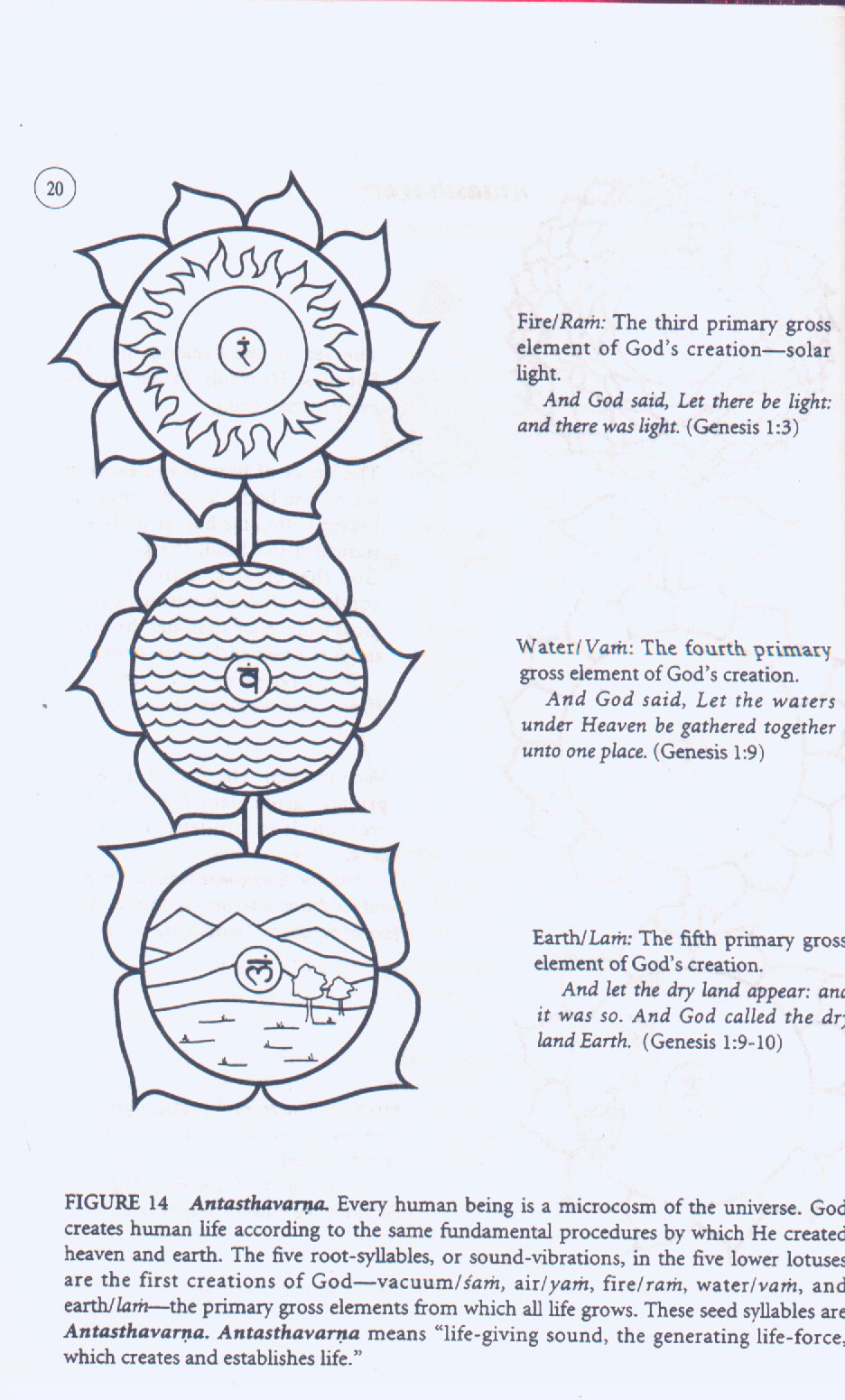 Kriya4.jpg (217529 bytes)