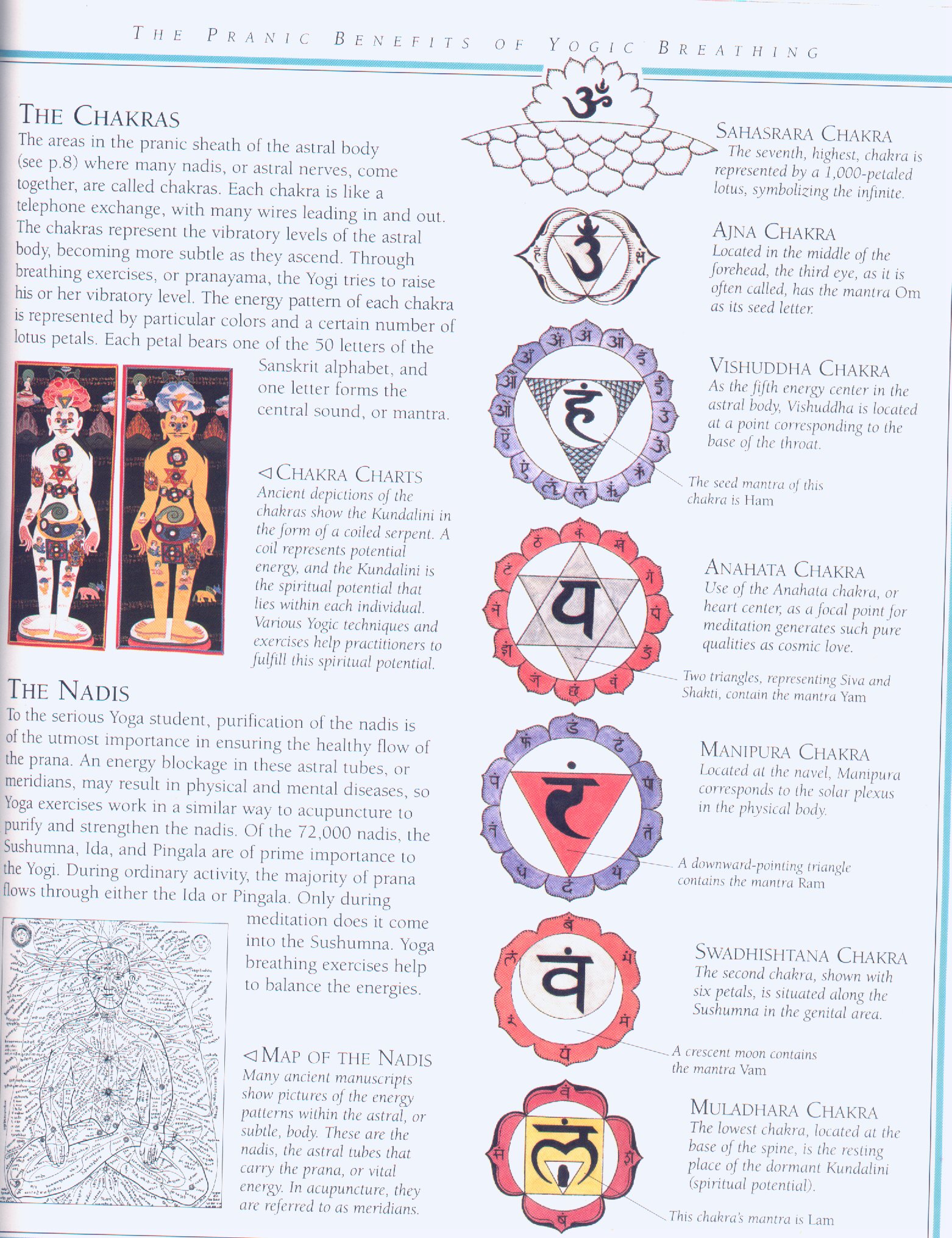 kriya10.jpg (643680 bytes)